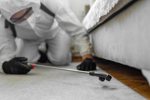 Professional Termite Control technician working in Clyde, OH