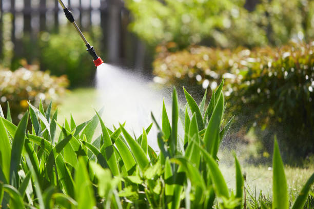 24/7 Emergency Termite Control experts in Clyde, OH