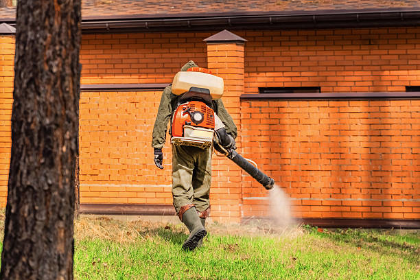 Top rated local Termite Control specialists in Clyde, OH